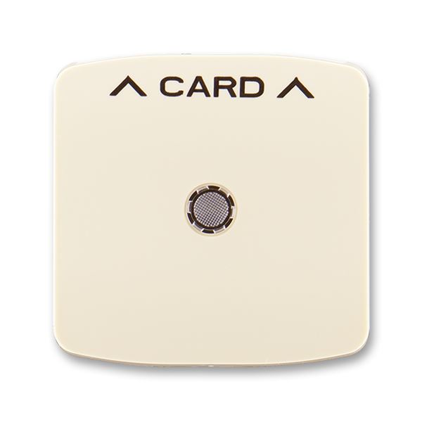 Kryt spínače kartového, s čirým průzorem, s potiskem slonovina 3559A-A00700 C