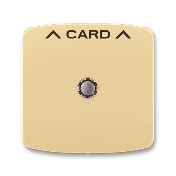 Kryt spínače kartového, s čirým průzorem, s potiskem béžová 3559A-A00700 D