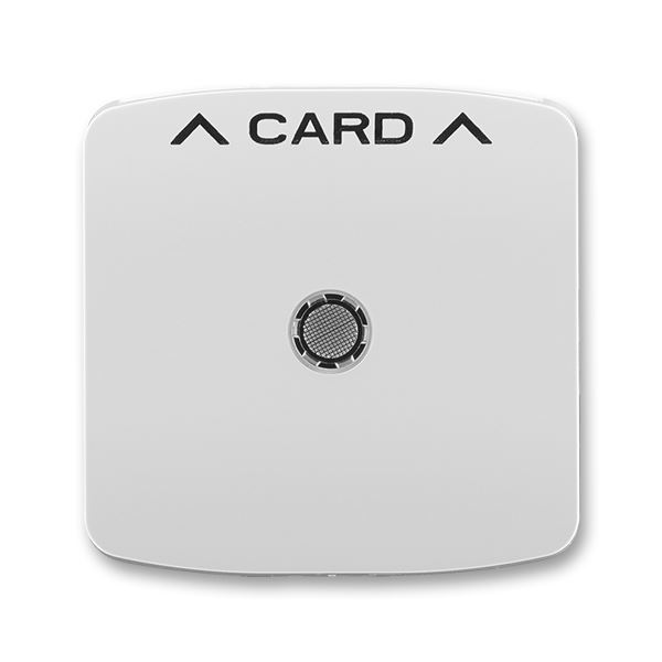 Kryt spínače kartového, s čirým průzorem, s potiskem šedá 3559A-A00700 S