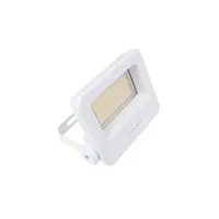 LED reflektor FW30W bílý 30W, denní bílá 103725 T-LED