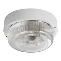 Přisazené svítidlo TUNA mini 10538 T-LED