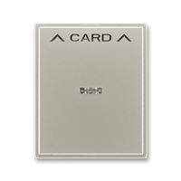 Kryt spínače kartového starostříbrná 3559E-A00700 32