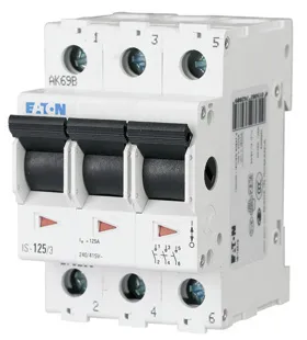 HLAVNI VYPINAC 3P 100A IS-100/3 000276284