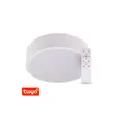 SMART Tuya LED svítidlo RENDO 48W CCT kulaté bílé